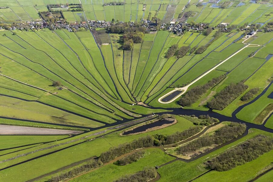 Lisse: Drive-it-Yourself Dutch Countryside GPS Audio Tour - Organic fruit orchards and a biological cheese farm