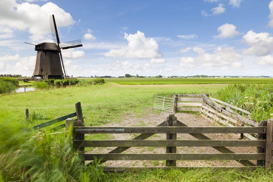 Lisse: Drive-it-Yourself Dutch Countryside GPS Audio Tour - Villages, local favorites, and photo stops