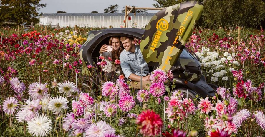 Lisse: Drive-it-Yourself Summer Flower GPS Audio Tour - Key points to know before booking