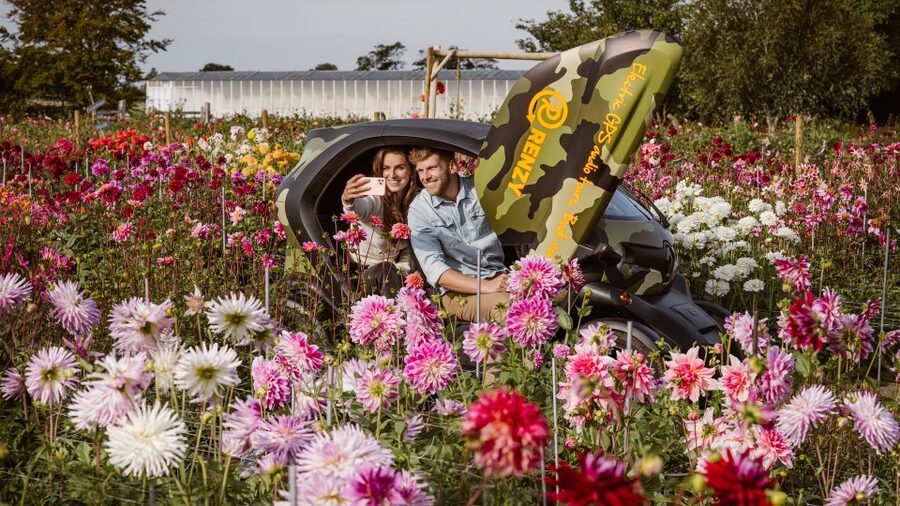 Lisse: Drive-it-Yourself Summer Flower GPS Audio Tour - Following the fixed 35-kilometer GPS route