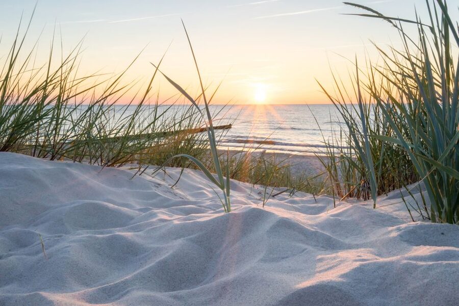 Lisse: Self-Drive Electric Car Dune and Beach Audio Tour - Key points to know before booking