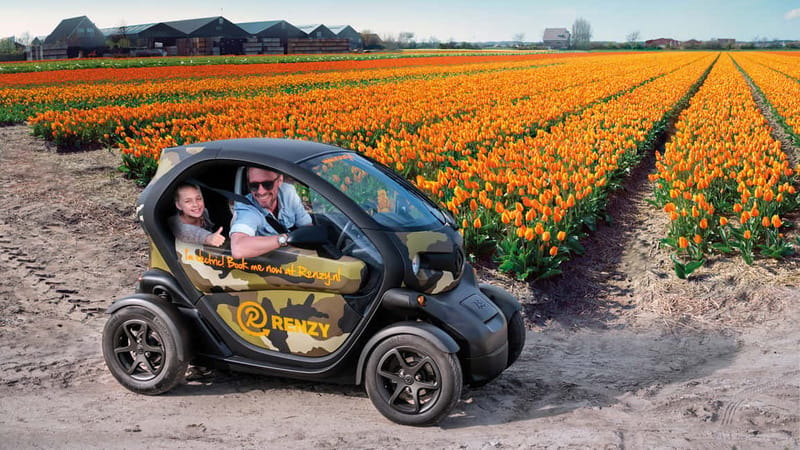 Lisse: Self-Guided Tulip Fields GPS Audio Tour - The bulb farm adds useful local context