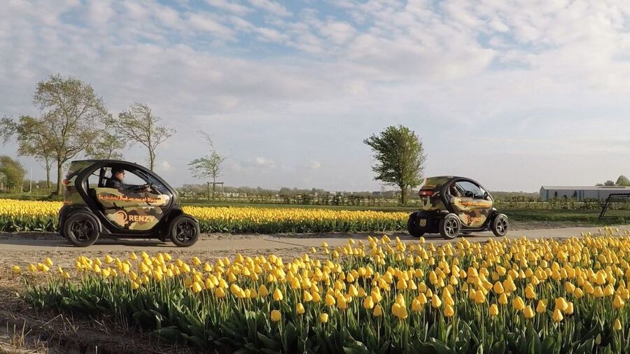 Lisse: Self-Guided Tulip Fields GPS Audio Tour - Choose your date carefully