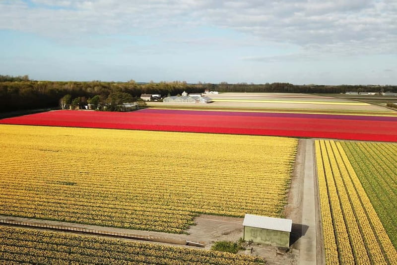 Lisse: Self-Guided Tulip Fields GPS Audio Tour - What happens during the one-hour route