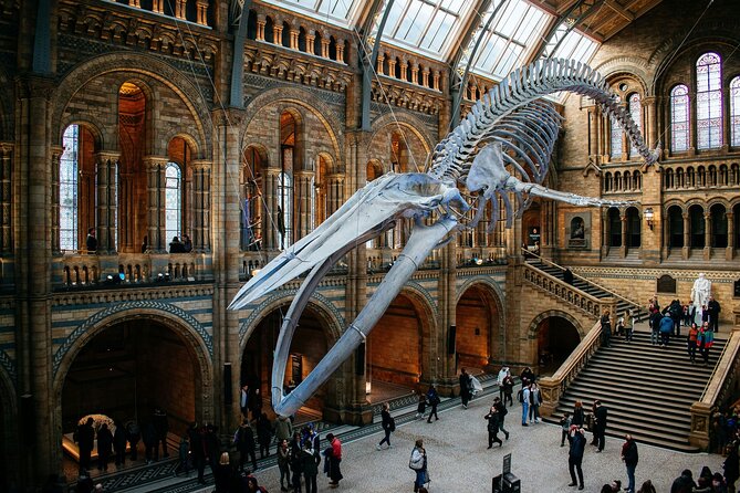 London: Natural History Museum Express Guided Tour & Audio Guide - What this Natural History Museum experience actually gives you