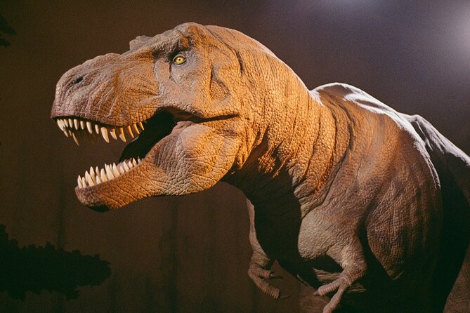 London: Natural History Museum Express Guided Tour & Audio Guide - Is the price fair when entry costs nothing?