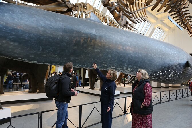 London: Natural History Museum Express Guided Tour & Audio Guide - Family use and accessibility details