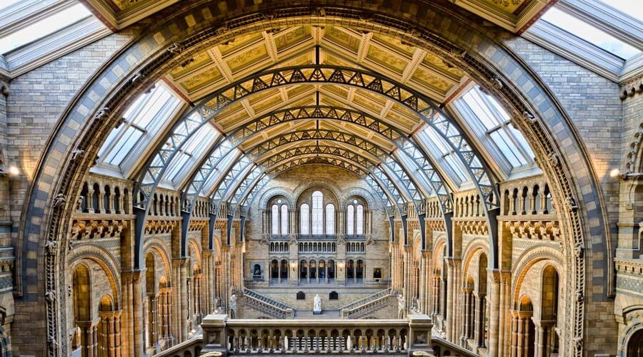 London: Natural History Museum Express Tour & Audio App - Price, Free Admission, and Real Value