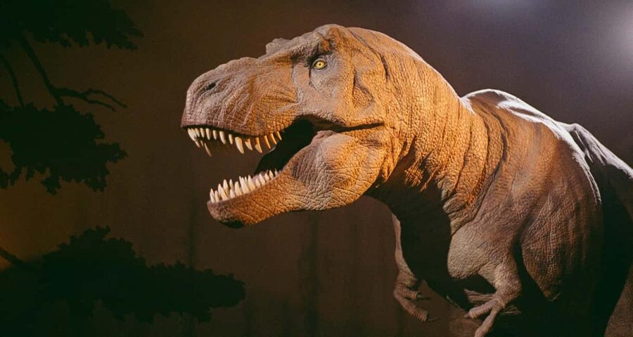 London: Natural History Museum Express Tour & Audio App - Practical Details for a Smooth Visit