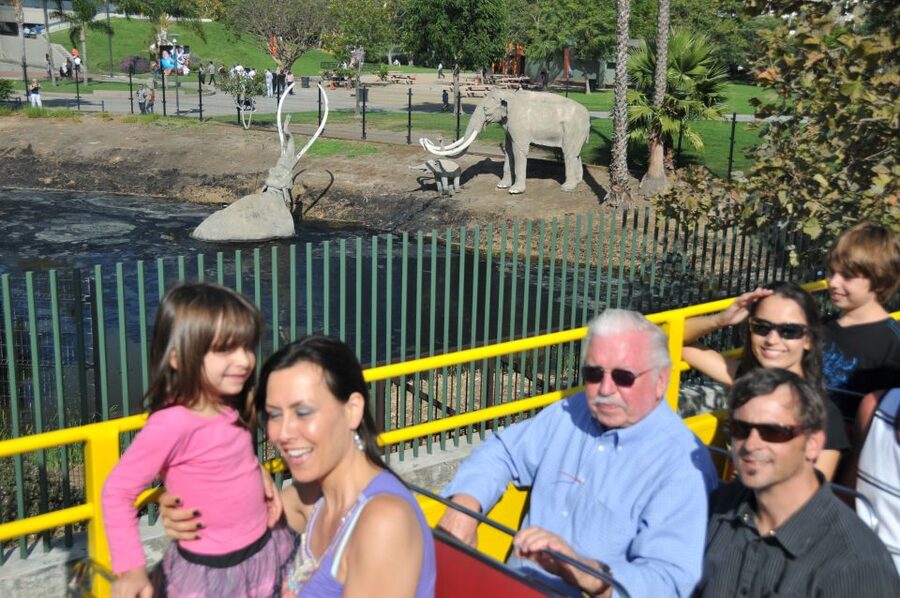 Los Angeles: Hop-On Hop-Off Bus Tour with Audio Guide - What this Los Angeles bus tour actually feels like