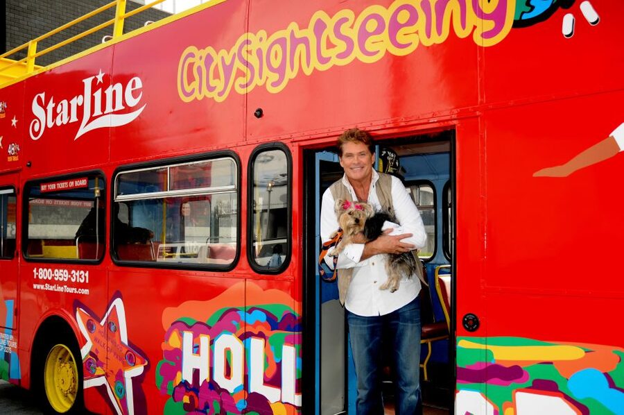 Los Angeles: Hop-On Hop-Off Bus Tour with Audio Guide - Purple Route: Downtown LA’s museums, food, and concert halls