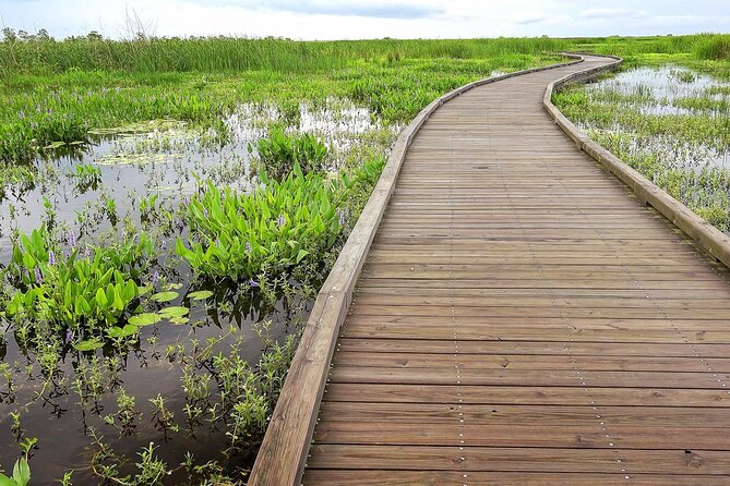 Louisiana Creole Nature Trail Self-Guided Audio Driving Tour - Starting at Adventure Point