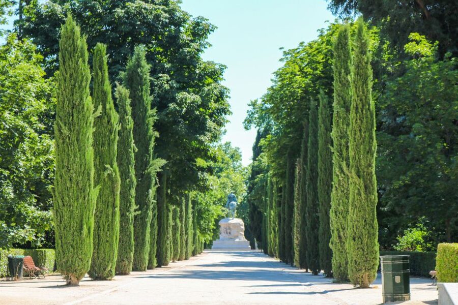 Madrid: El Retiro Park & City Sightseeing Audio Tour - How the self-guided format changes the visit