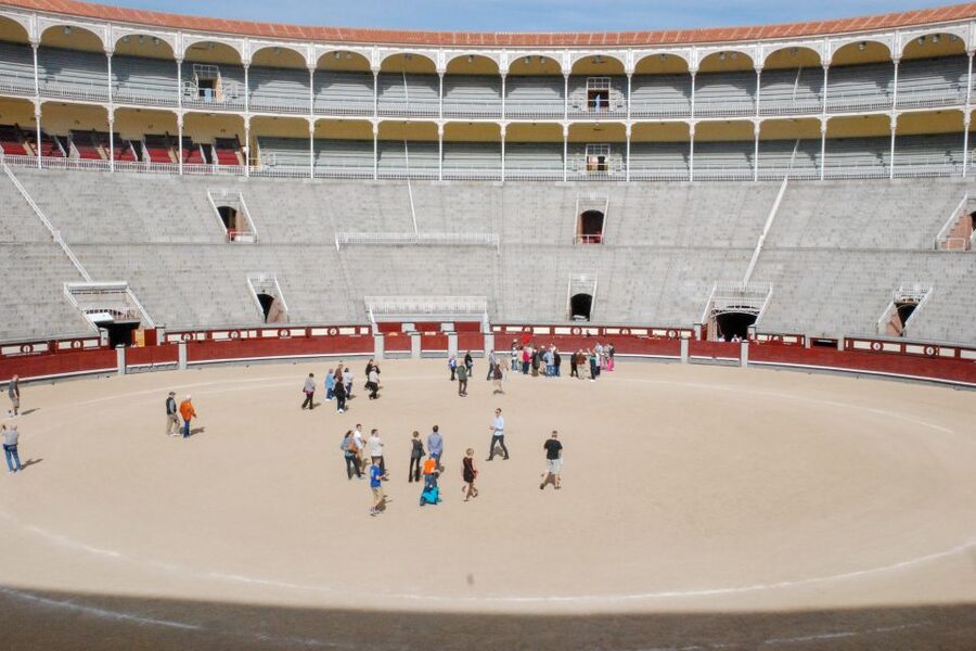 Madrid: Las Ventas Bullring Tour with Audio Guide - Standing on the sand at the center