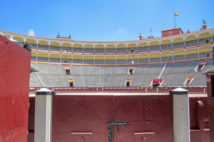 Madrid: Las Ventas Bullring Tour with Audio Guide - Learning the parts of a bullfight