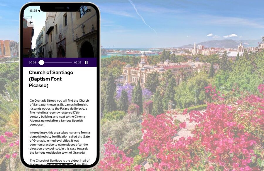 Málaga: Picasso Birthplace Museum Ticket & City Audio Guide - What you see inside the birthplace museum