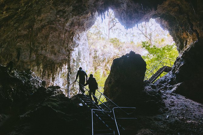 Mammoth Cave Self-guided Audio Tour (Located in Western Australia) - A pleasant finish through the karri forest