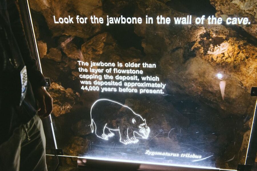 Margaret River: Self-Guided Audio Tour of Mammoth Cave - How it compares with other Margaret River cave choices