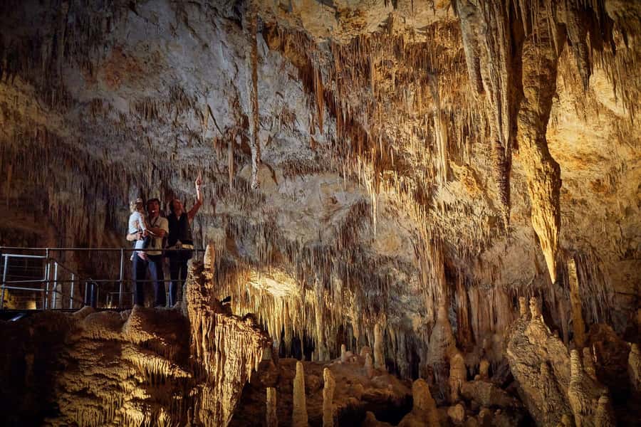 Margaret River: Self-Guided Audio Tour of Mammoth Cave - Starting at the main entrance and entering through bushland