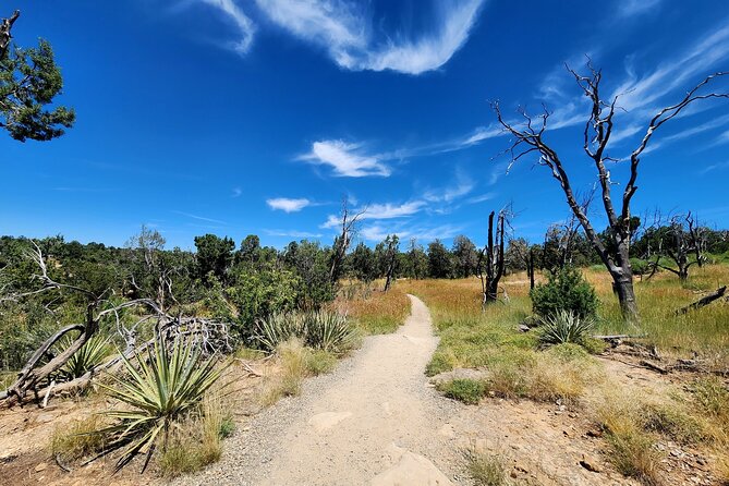 Mesa Verde National Park Self-Guided Audio Tour - How to plan the timing and use the app