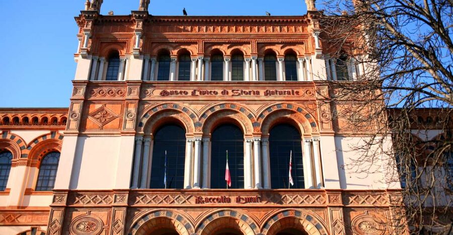 Milan: Natural History Museum Entry Ticket & Audio Guide - A Natural History Stop in the Middle of Milan