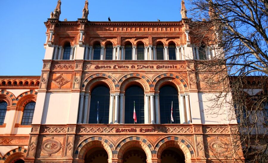 Milan: Natural History Museum Entry Ticket & Audio Guide - Is the $12 Price Good Value?