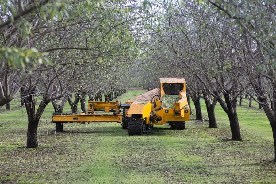 Modesto: Fruits and Roots Tour Driving Audio Guide Tour - Orchards, peaches, almonds, and the work behind the harvest
