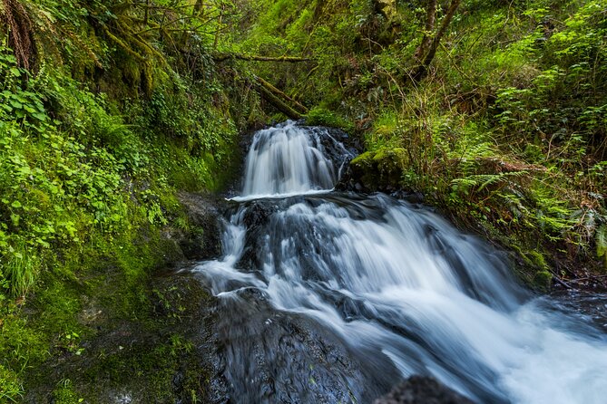 Mount Hood Loop Scenic Drive Self Guided Audio Tour - Choosing a hike at Eagle Creek, Angel’s Rest, or Wahkeena
