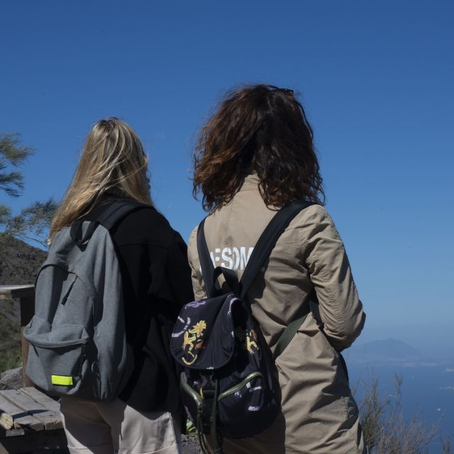 Mount Vesuvius: Skip-the-Line Ticket and Smart Digital Guide - The optional bus transfer from Naples or Pompeii