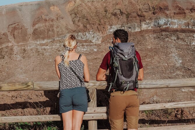 Mount Vesuvius Skip the Line Ticket + Multilingual Audio Guide - Key points to know before booking