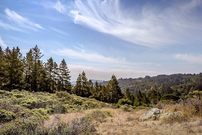 Muir Woods Self-Guided Driving and Walking Audio Tour - Finding the archway and visitor center