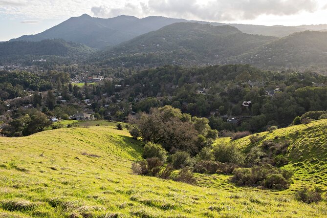 Muir Woods Self-Guided Driving and Walking Audio Tour - Why the $16.99 group price is good value