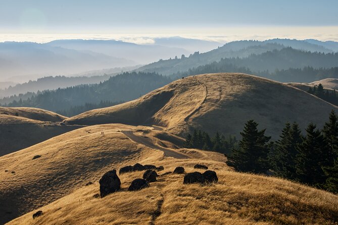 Muir Woods Self-Guided Driving and Walking Audio Tour - What the 3.6 out of 5 rating tells you