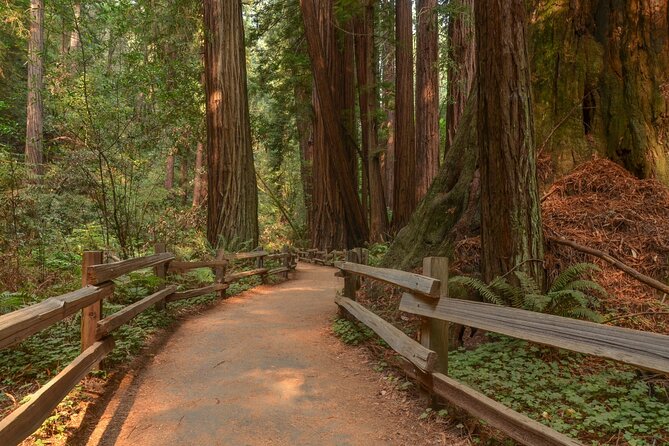 Muir Woods Self-Guided Driving and Walking Audio Tour - Who will get the most from this tour