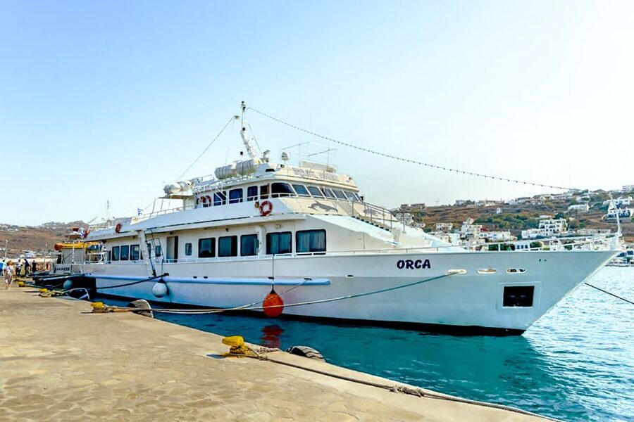 Mykonos: Delos Boat Transfer with Cell Phone Audioguide - Using the phone audioguide on Delos
