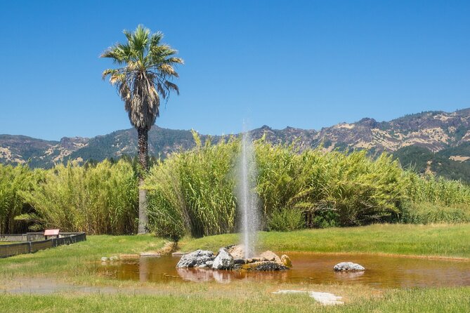 Napa Valley & Sonoma Self-Guided Audio Driving Tour - Old Faithful of California and Calistoga
