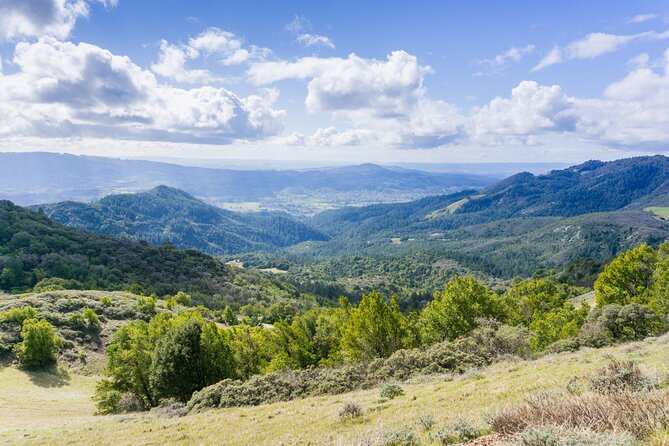 Napa Valley & Sonoma Self-Guided Audio Driving Tour - St. Helena and Napa’s wine-making stories