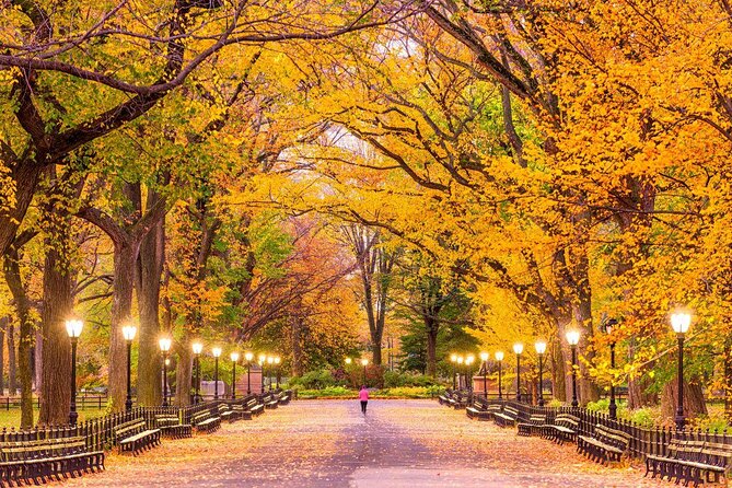 New York’s Iconic Central Park: A Self-Guided Audio Tour - Key points to know before you go