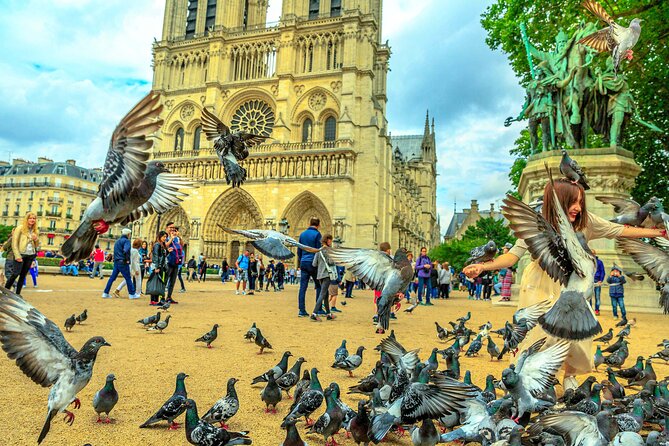 Notre-Dame Cathedral Tour with Audioguide (no ticket) - Setting up the app before you arrive
