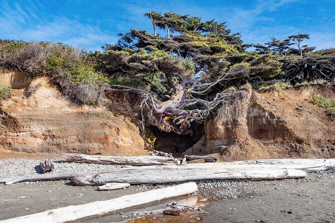Olympic National Park Self-Guided Audio Tour - Sol Duc’s waterfalls, salmon, and hot springs