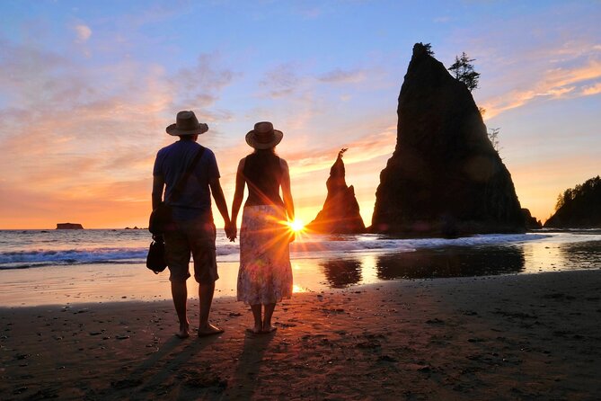 Olympic National Park Self-Guided Audio Tour - Kalaloch’s giant trees and changing shoreline