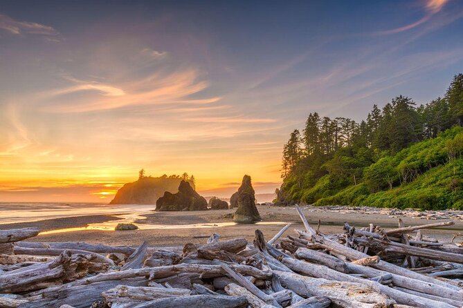 Olympic National Park Self-Guided Driving Audio Tour - What this Olympic audio tour really covers