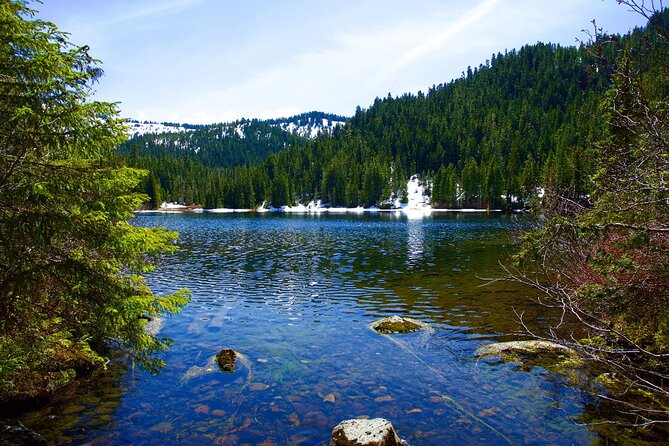 Olympic National Park Self-Guided Driving Audio Tour - Marymere Falls and Meldrim Point