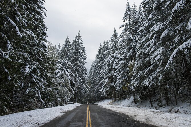 Olympic National Park Self-Guided Driving Audio Tour - Sol Duc Valley and the route’s endpoint