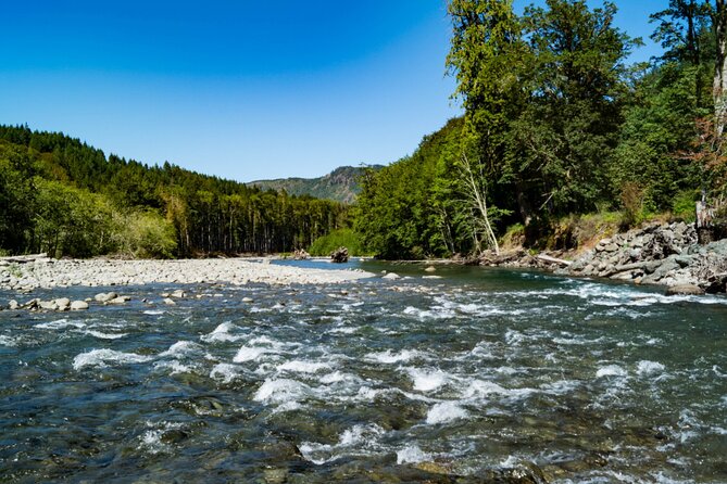 Olympic National Park Self-Guided Driving Audio Tour - The Hoh Rain Forest and the western side