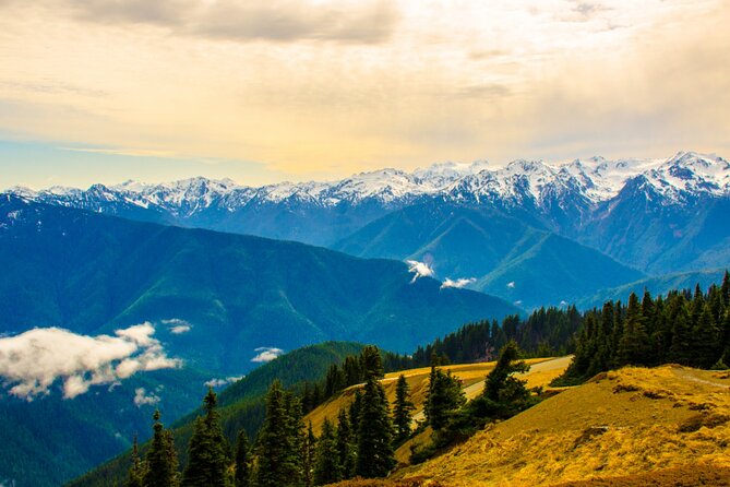 Olympic National Park Self-Guided Driving Audio Tour - Hurricane Ridge and the alpine routes