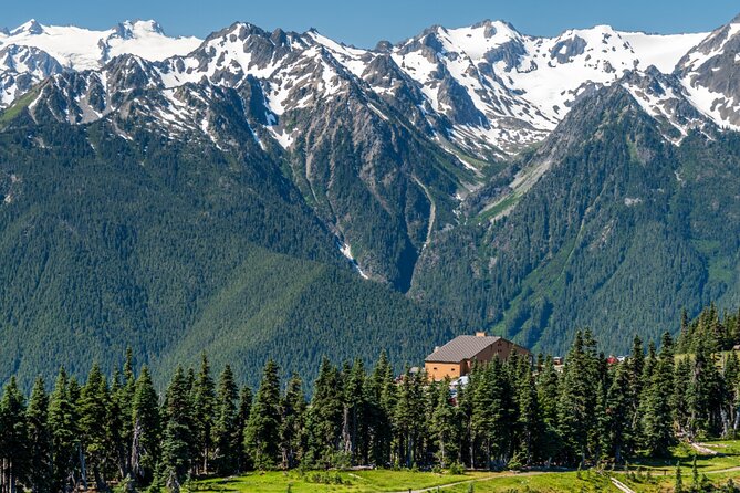 Olympic National Park Self-Guided Driving Audio Tour - Price, setup, and the value of a private car tour