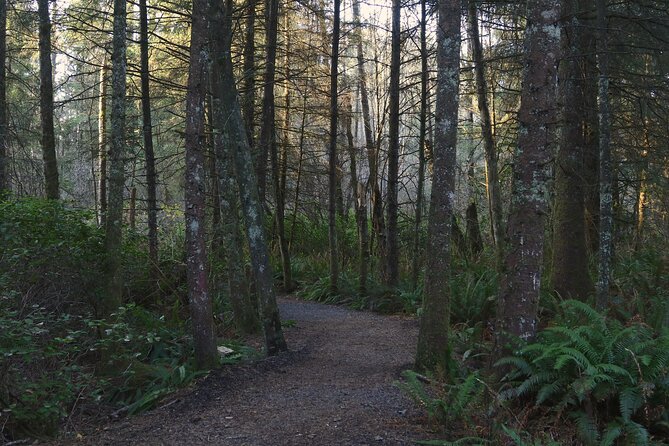 Oregon Coast Self Guided Audio Driving Tour - Should you book the Oregon Coast audio tour?