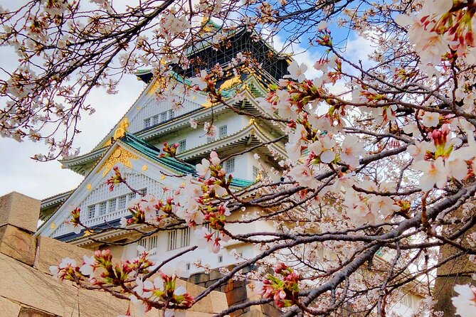 Osaka Castle & Temple Walking Tour with Multilingual Audio Guide - Why this route works for an Osaka morning