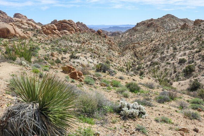 Palm Springs and Joshua Tree Self-Guided Driving Audio Tours - Marilyn, Frey, Moorten, and the San Jacinto option